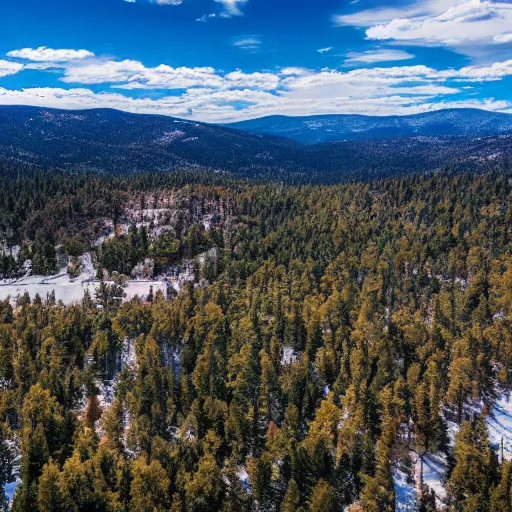 Prompt: Tilt Shift Photography, Big Bear Lake California, Ariel drone shot, 8k