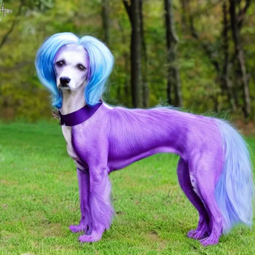 Image similar to purple dog with long blue hair