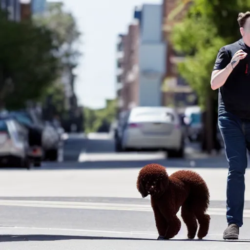 Prompt: a photo of elon musk walking on the street with his big mutant poodle, f 2. 8, 1 0 0 mm lens
