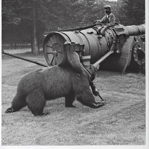 Image similar to a picture of a bear pulling a big canon behind him. the canon is harnessed to the horse and towed, ww 2, historial picture, western front