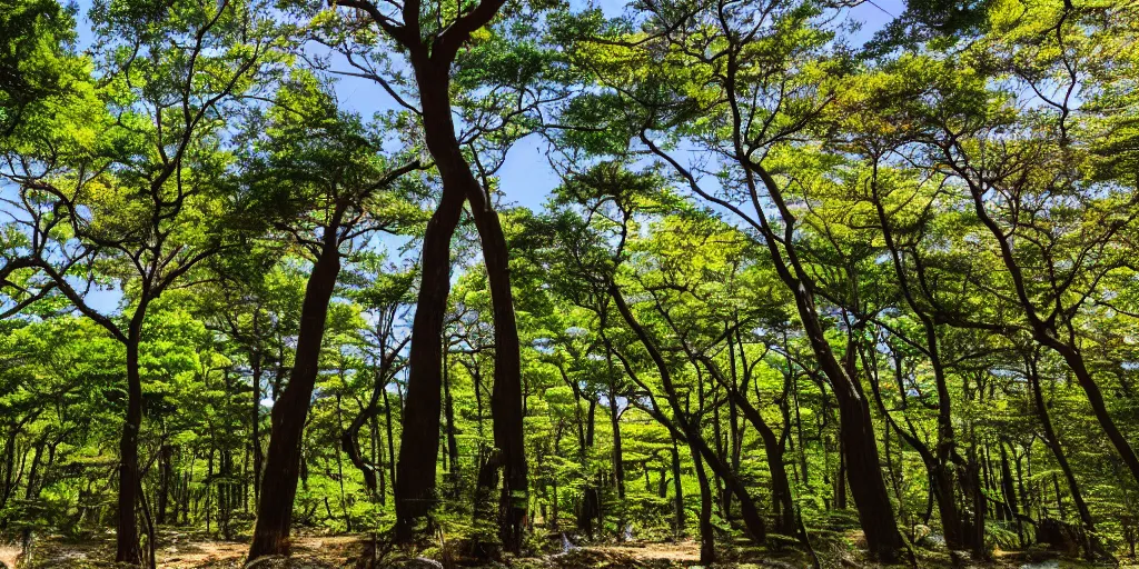 Image similar to a japanese forest on a sunny day