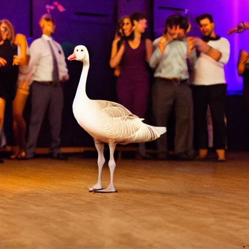 Prompt: a goose on a crowded dance floor, trying to fit in, photorealistic, slow shutterspeed