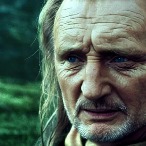 Prompt: Liam Neeson as Theoden, Lord of the Rings, film still, high detail