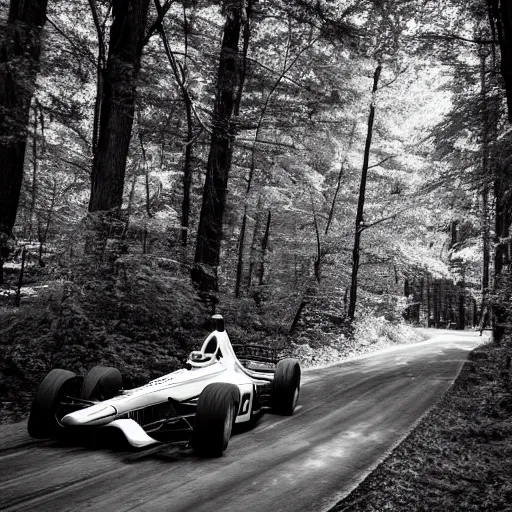 Image similar to indycar driving in the woods, black and white photo