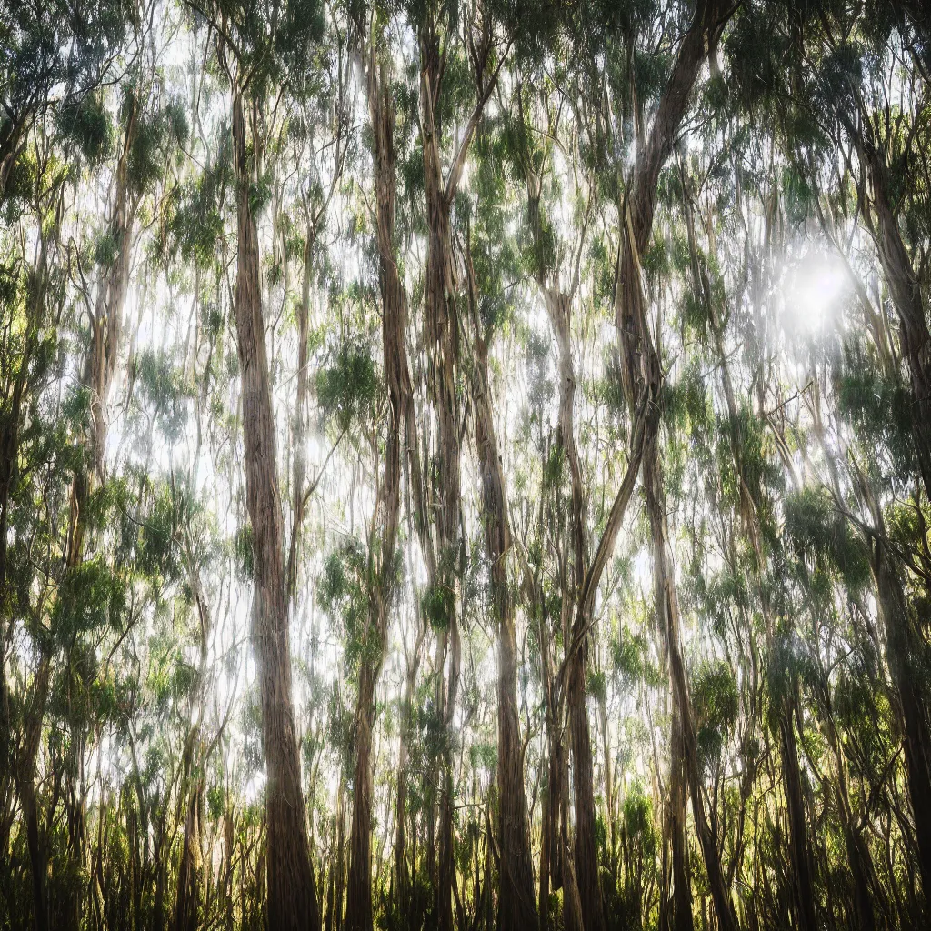 Prompt: long exposure photograph of eucalyptus trees, strong wind, back light, sony ar 7 ii, photographed by julie blackmon