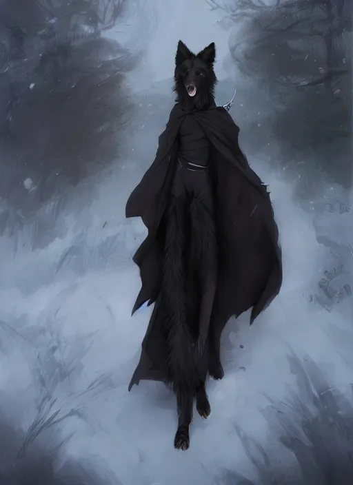 Image similar to beautiful wide angle full body portrait of a cute male anthropomorphic anthro border collie fursona wearing black robes in a park, character design by charlie bowater, henry asencio, and ross tran, scenic background, detailed, glamor pose, solo, aesthetic, trending on artstation, furaffinity, deviantart