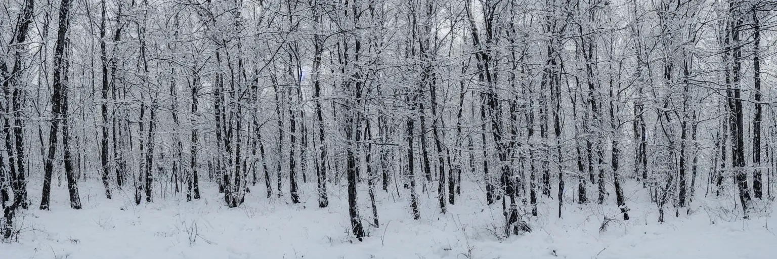 Image similar to russian snowy woodlands