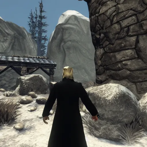 Image similar to video game screenshot of donald trump in skyrim