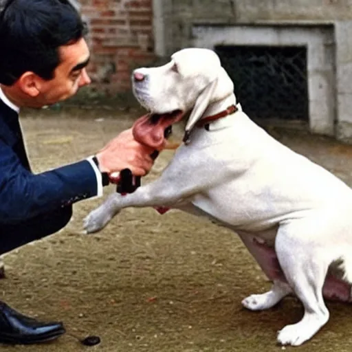 Image similar to mr bean poking a dog