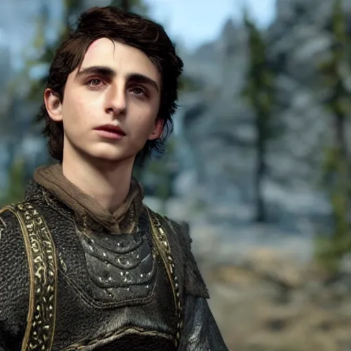 Prompt: timothee chalamet in skyrim, video game, unreal engine 5