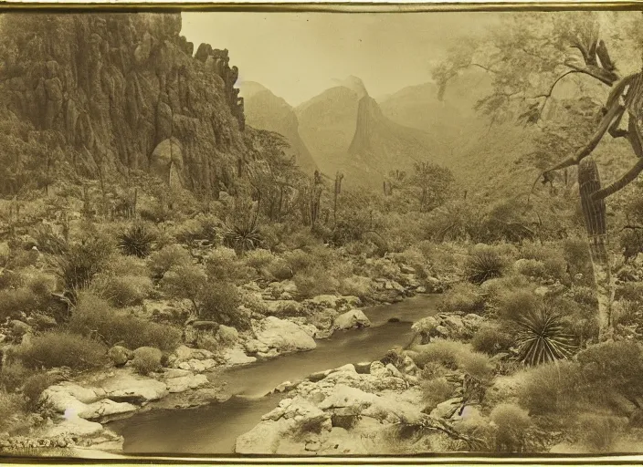 Prompt: Overlook of a river flowing through a cactus forest, albumen silver print by Timothy H. O'Sullivan.