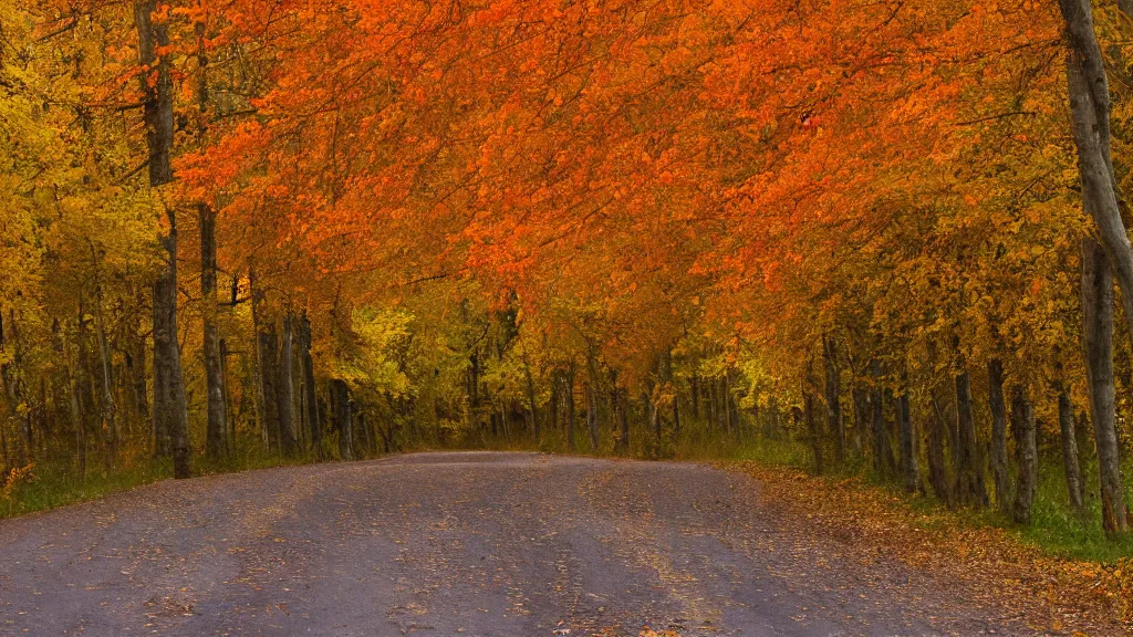 Image similar to a photograph of a country road lined on both sides by maple and poplar trees, in the autumn, red orange and yellow leaves, some leaves have fallen and are under the trees and on the road