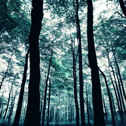 Prompt: Looking at the forest floor, An indigo forest in Japan, dark, midnight, ghostly white trees