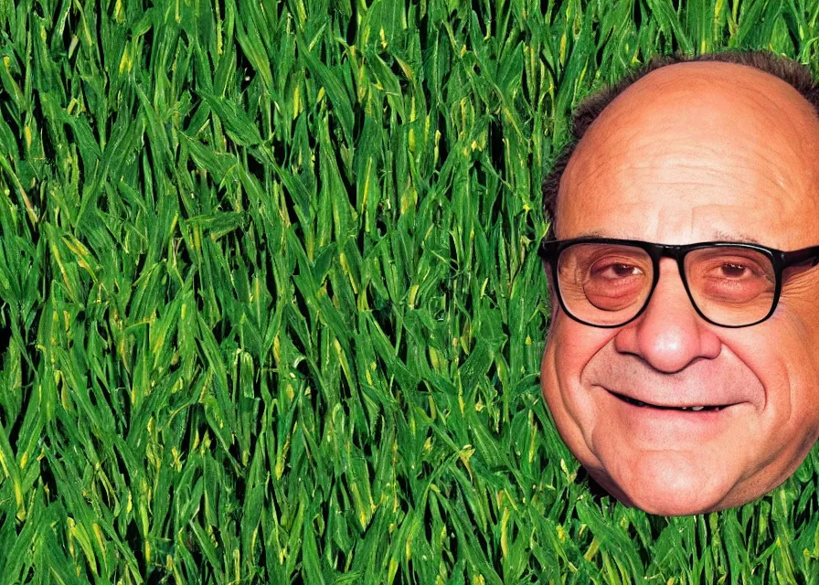 Image similar to satellite photo of danny devito's face in a cornfield