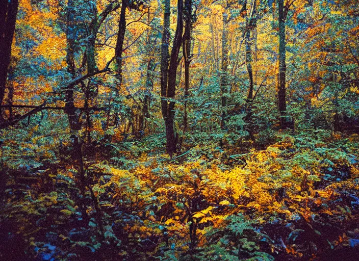 Image similar to photo of the beast with a million eyes, fujifilm velvia 5 0