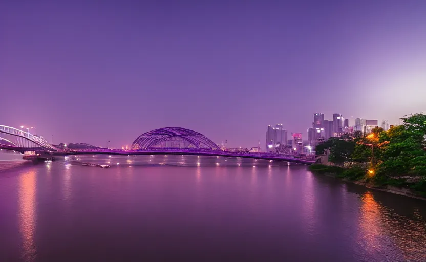 Prompt: a photo of wuhan, river, bridge, sunset, purple sky, cinematic, 8 k, highly - detailed