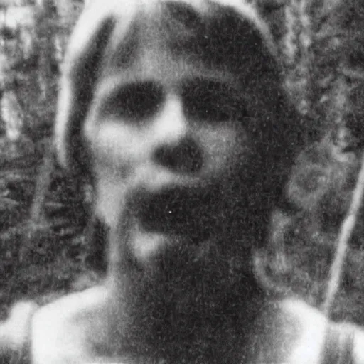 Prompt: A blurry ominous screen capture of found footage video left behind by a missing hiker in 1986