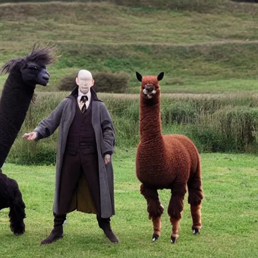 Prompt: voldemort fights harry potter, photobomb by an alpaca