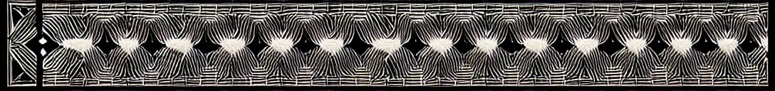 Image similar to a delicated line Decorative Ornament, Inca style, Vector Lineal, symetrical, Black and white, ink pen, sutil and clean