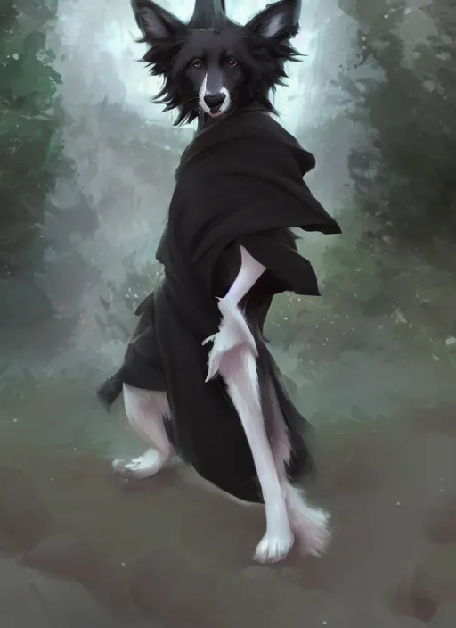 Prompt: beautiful wide angle full body portrait of a cute male anthropomorphic anthro border collie fursona wearing black robes at a theme park, character design by charlie bowater, henry asencio, and ross tran, scenic background, detailed, glamor pose, aesthetic, trending on artstation, furaffinity, deviantart