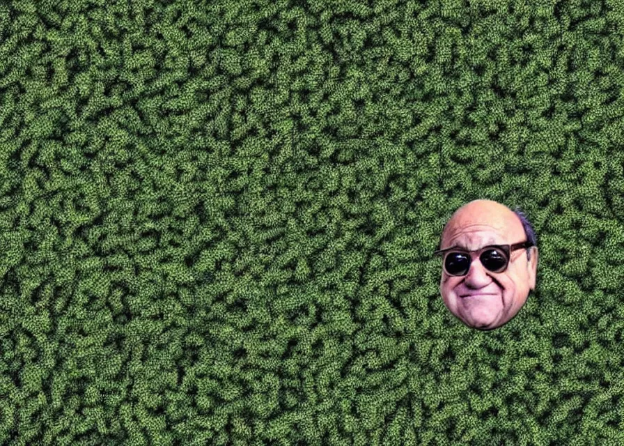 Image similar to satellite photo of danny devito's face in a cornfield