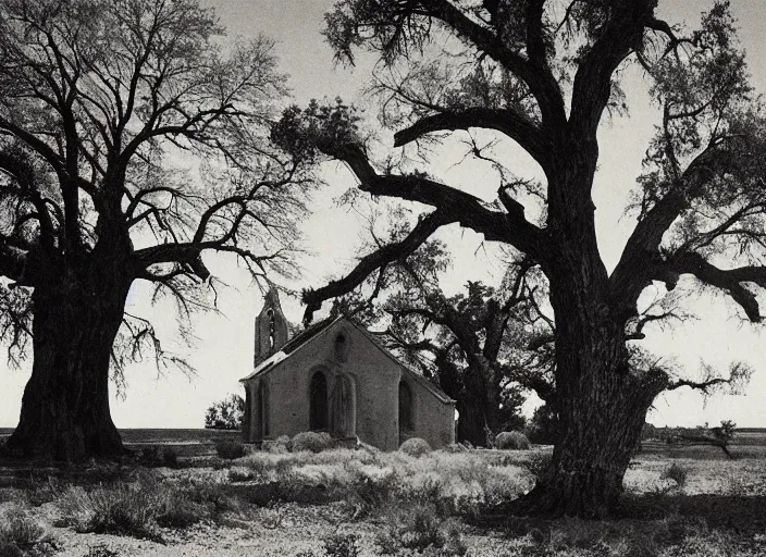 Prompt: Old mission church next to a big oak tree in a grassy flat desert, albumen silver print by Timothy H. O'Sullivan.