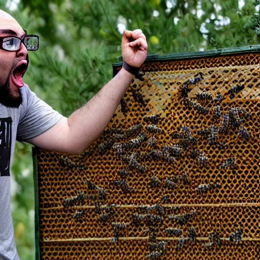 Prompt: HD photo of an angry WingsofRedemption screaming at bees