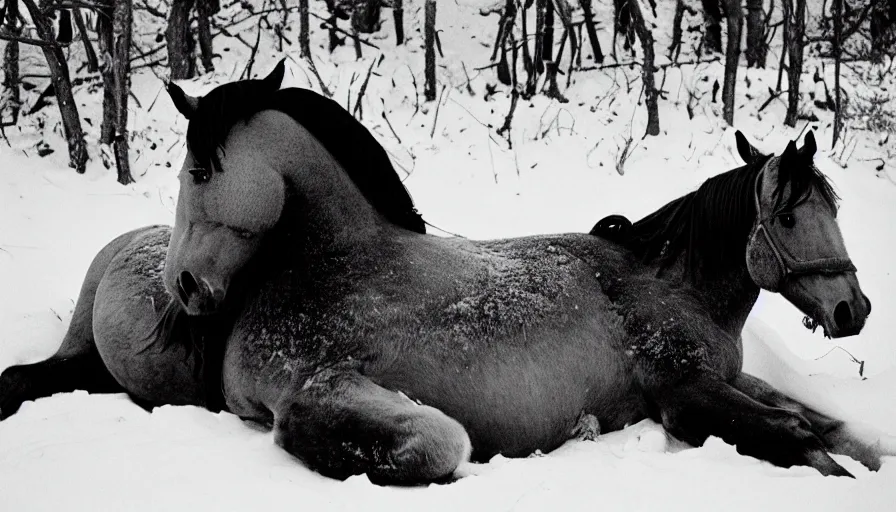 Image similar to 1 9 6 0 s movie still close up of marcus aurelius frozen to death under the snow, a horse frozen under the snow by the side of a river with gravel, pine forests, cinestill 8 0 0 t 3 5 mm, high quality, heavy grain, high detail, texture, dramatic light, anamorphic, hyperrealistic, detailed hair, foggy