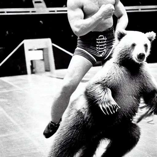 Image similar to maniac marvin mcglory wrestling a bear. madison square garden, 1 9 6 8.