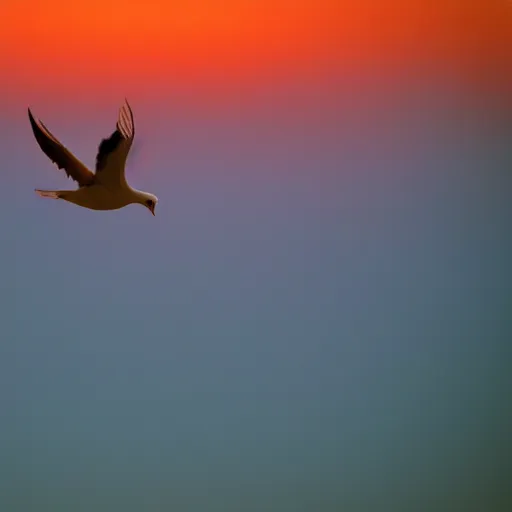 Image similar to Close-up realistic shot of a radiant white dove flying over the clouds at sunset, ethereal, vintage photograph, film grain, surreal, awe-inspiring, highly detailed, blue and orange color scheme