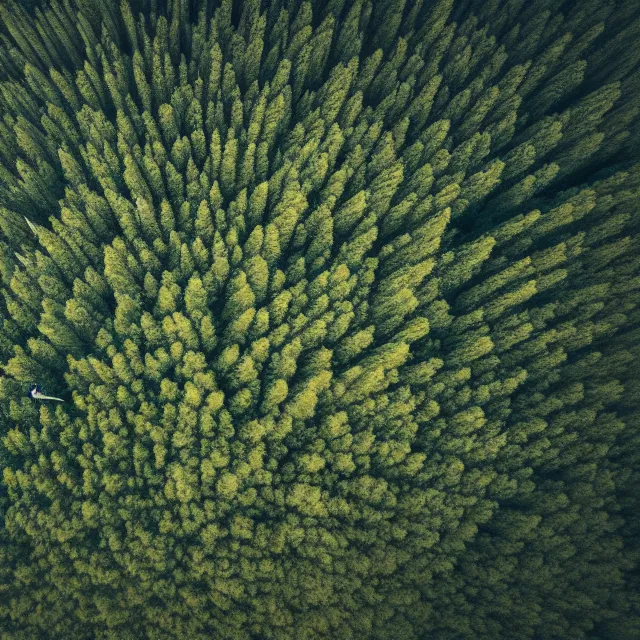 Image similar to looking down a mountain at a forest of hammerhead sharks, sharp focus, octane render