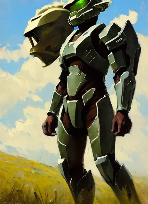 Image similar to Greg Manchess painting of Zelda wearing Forerunner armor from Halo, countryside, calm, fantasy character portrait, dynamic pose, above view, sunny day, thunder clouds in the sky, artwork by Jeremy Lipkin and Giuseppe Dangelico Pino and Michael Garmash and Rob Rey, very coherent asymmetrical artwork, sharp edges, perfect face, simple form, 100mm