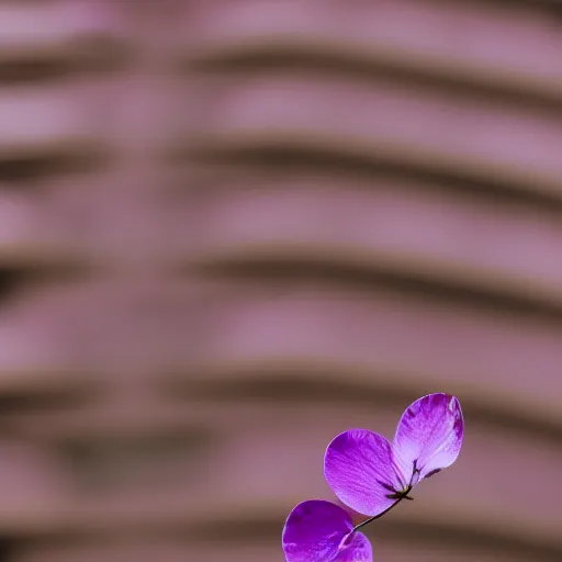 Image similar to closeup photo of purple flower petal flying above a city, aerial view, shallow depth of field, cinematic, 8 0 mm, f 1. 8