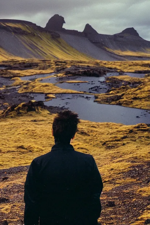 Image similar to kodak color plus 2 0 0 photograph of a skinny guy looking at beautiful iceland scenery, back view, vaporwave colors, grain, moody lighting, moody aesthetic,