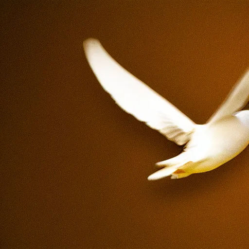 Image similar to a realistic photo of a dove flying in a completely black room, 8k, film grain, highly detailed