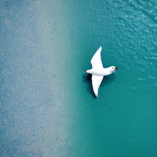 Image similar to simmetrical photo of a seagull flying seen exactly from above. Watching down. Seagull seen from above. 4k still award winning. Pleasant look and colors. Sea on the background.