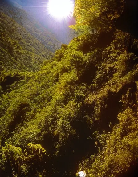 Image similar to vintage color photo of a bright light floating over the jungle in Cordillera De Los Andes, 8k definition