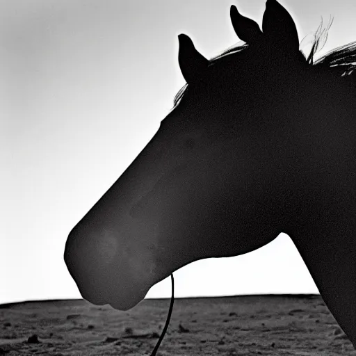 Prompt: photograph of a horse drinking alcohol on moon