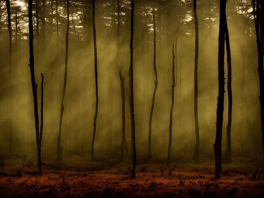Prompt: a wooded bog at night, cinematic, wildlife photography, moody lighting, volumetric light