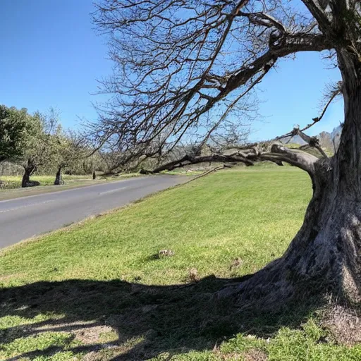 Image similar to https://media.discordapp.net/attachments/1005597163755151390/1006989562603647067/IMG_20220810_221350.jpg tree