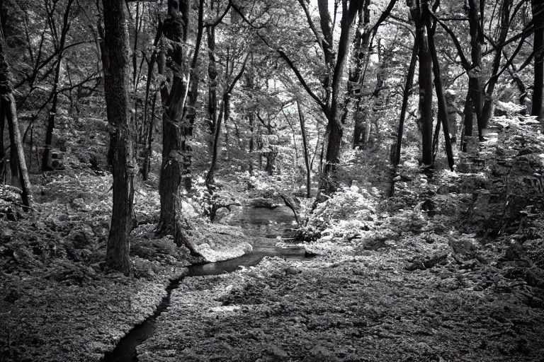 Image similar to infrared night vision trail cam of an alien grey creeping through a creek