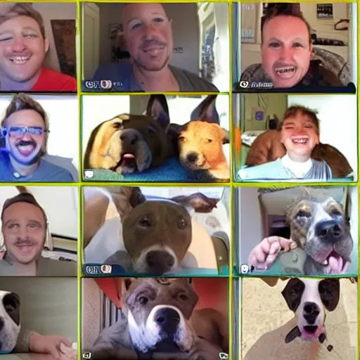 Image similar to a zoom facetime meeting full of pit bulls