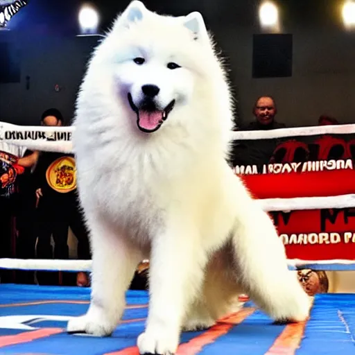 Prompt: samoyed dog competing in muay thai kickboxing world championship