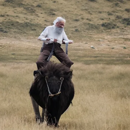 Prompt: old man ( long white beard and a hood ) riding on lions back