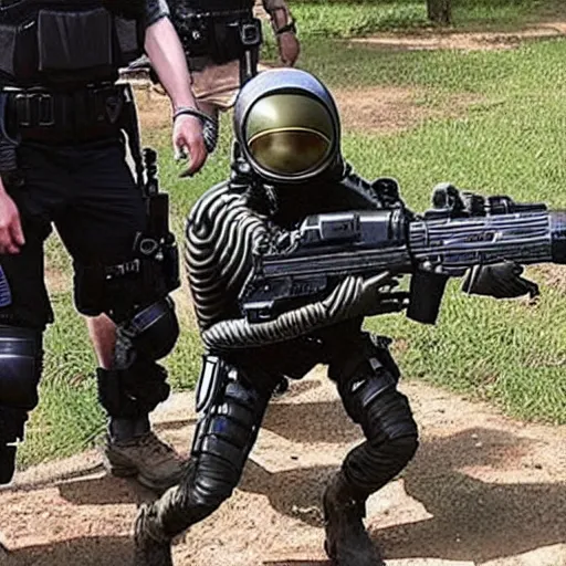 Image similar to extraterrestrial zeta reticulan alien, arrested by special forces