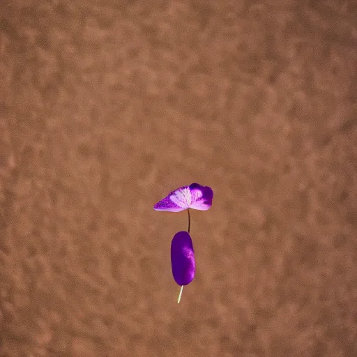 Image similar to closeup photo of 1 lone purple petal flying above a children in playground, aerial view, shallow depth of field, cinematic, 8 0 mm, f 1. 8 - c 1 1. 0