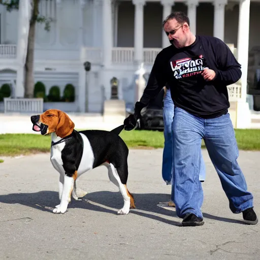 Image similar to beagle getting into fist fight with trump supporter