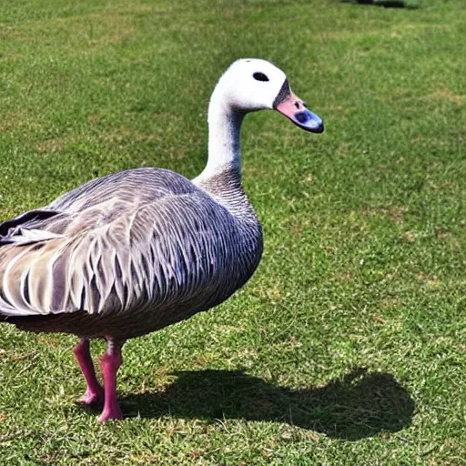 Image similar to photo of a goose wearing knight armor