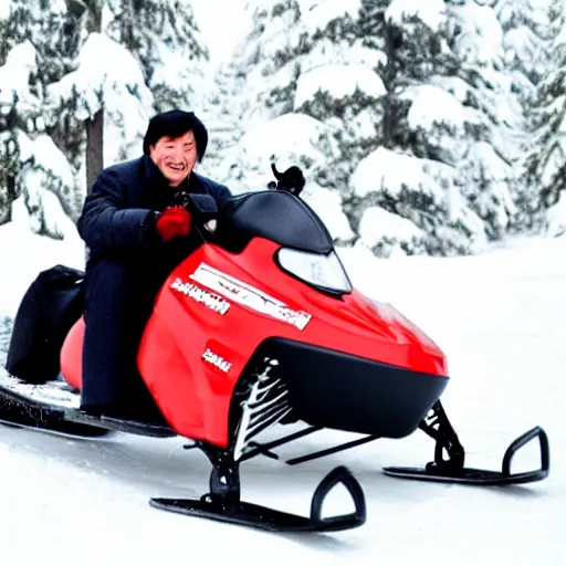 Image similar to jackie chan on a snowmobile