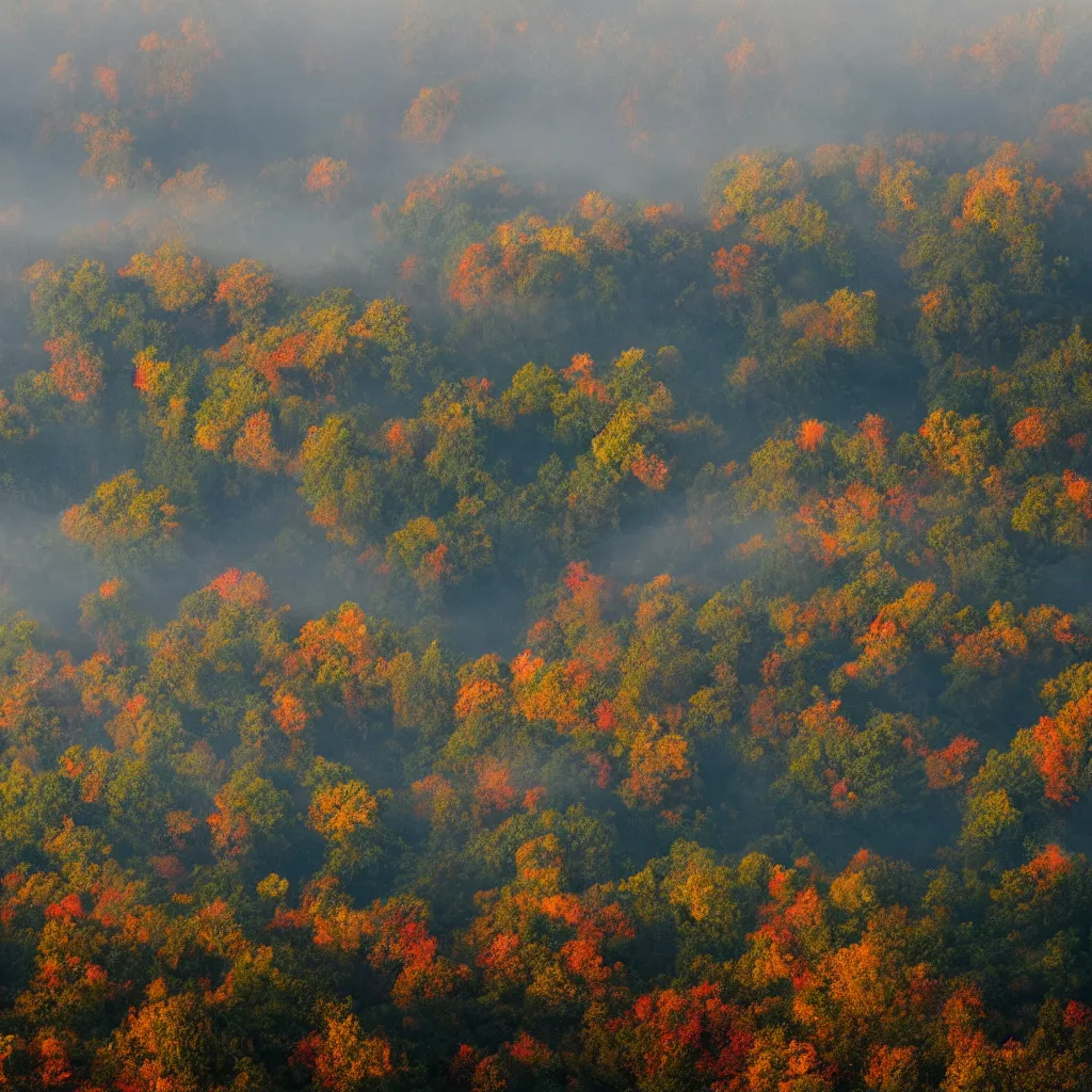 Image similar to blue ridge mountains on a misty october evening : : hd, 8 k, deep focus, intricate lines, substance 3 d, quixel megascans, gallery lighting